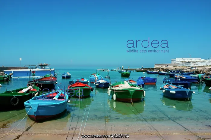 : Italy, Apulia, San Vito. Small wooden fishing : Italy, Apulia, San Vito. Small wooden fishing