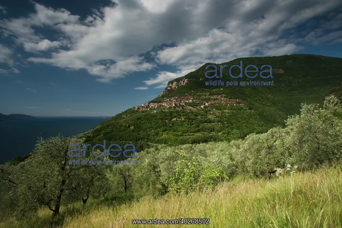 : Italy, Brescia Province, Piovere. Village : Italy, Brescia Province, Piovere. Village
