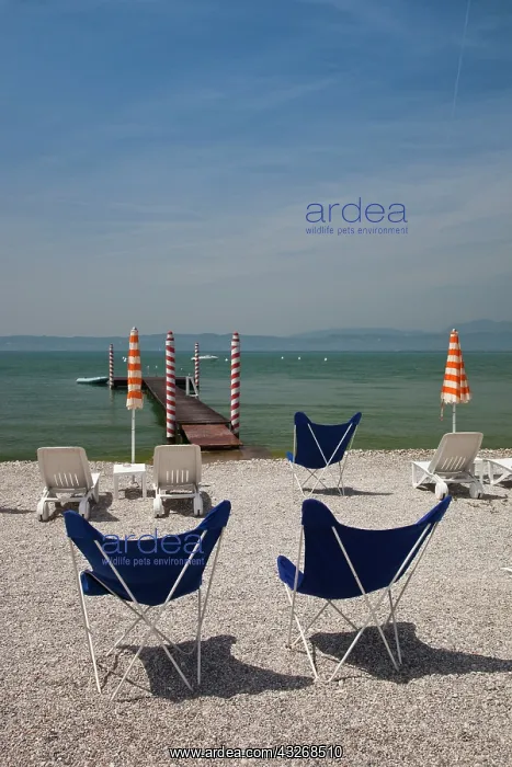 : Italy, Brescia Province, Sirmione. Lakeside : Italy, Brescia Province, Sirmione. Lakeside
