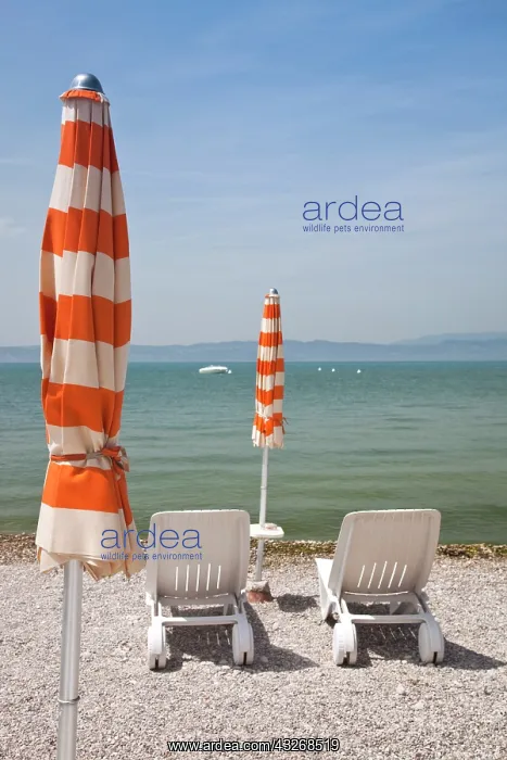 : Italy, Brescia Province, Sirmione. Lakeside : Italy, Brescia Province, Sirmione. Lakeside