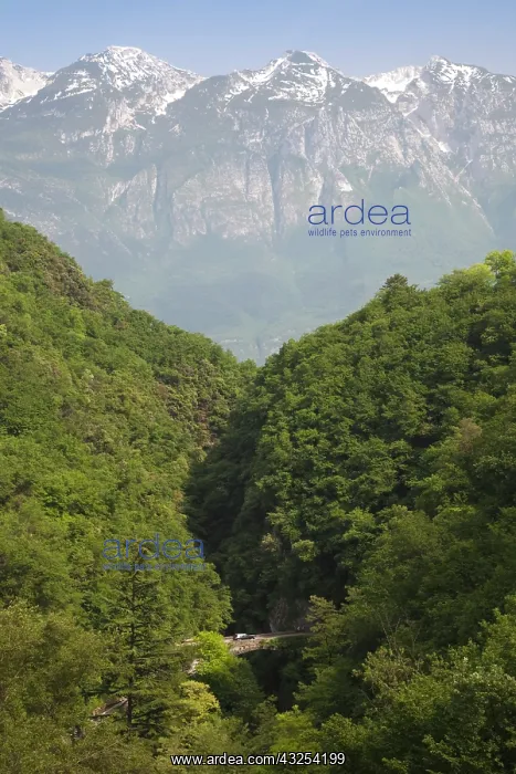 : Italy, Brescia Province, Tremosine. Mountain : Italy, Brescia Province, Tremosine. Mountain