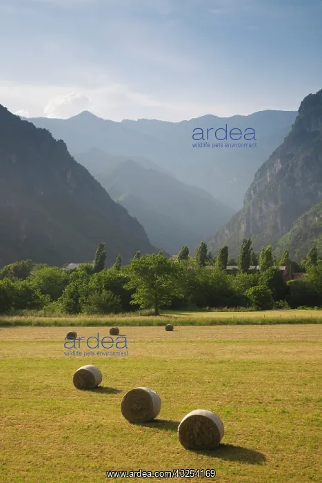 : Italy, Brescia Province, Tremosine Plateau : Italy, Brescia Province, Tremosine Plateau