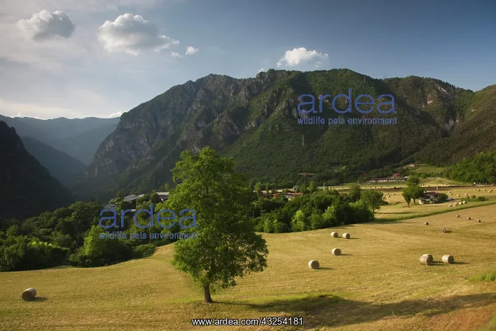 : Italy, Brescia Province, Tremosine Plateau : Italy, Brescia Province, Tremosine Plateau
