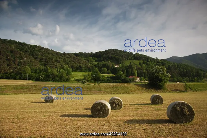 : Italy, Brescia Province, Tremosine Plateau : Italy, Brescia Province, Tremosine Plateau