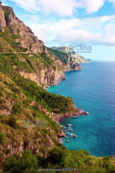 : Italy, Campania, Sorrentine Peninsula, Positano : Italy, Campania, Sorrentine Peninsula, Positano