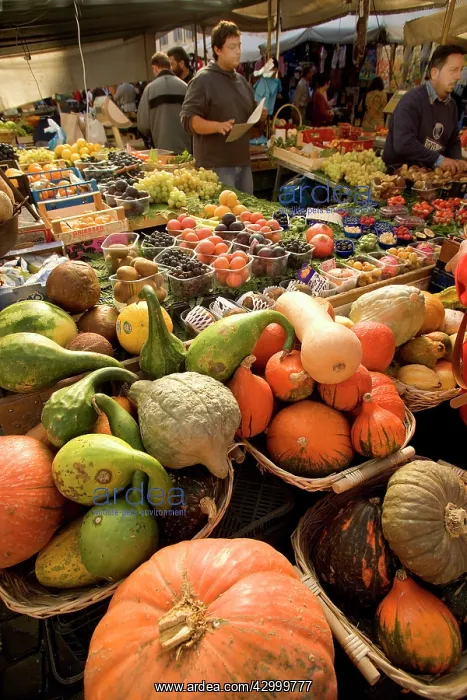 : Italy campo de fiori market : Italy campo de fiori market