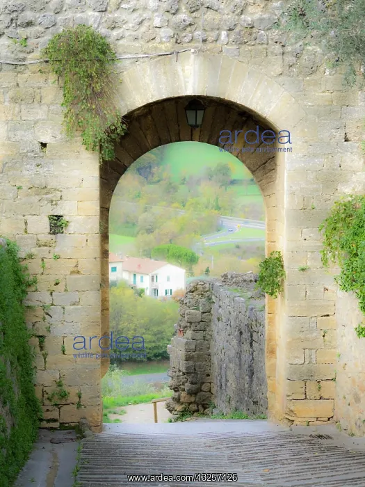 : Italy, Chianti, Monteriggioni. Looking out an arched : Italy, Chianti, Monteriggioni. Looking out an arched