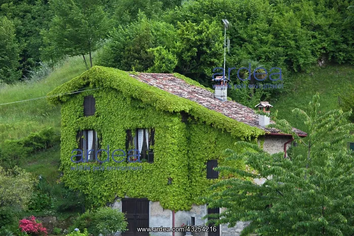  : Italy, Como Province, Bellagio. Leafy house