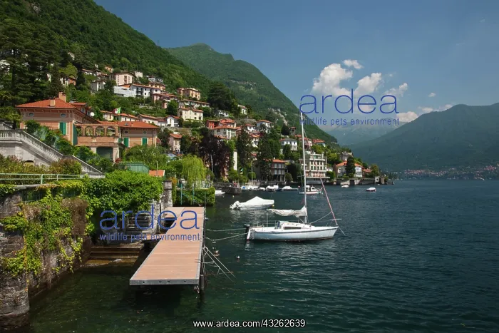 : Italy, Como Province, Moltrasio. Lakefront : Italy, Como Province, Moltrasio. Lakefront