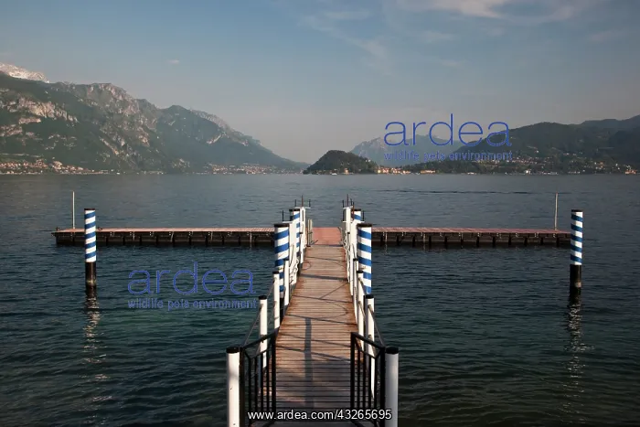 : Italy, Como Province, Tremezzo. Lake pier : Italy, Como Province, Tremezzo. Lake pier