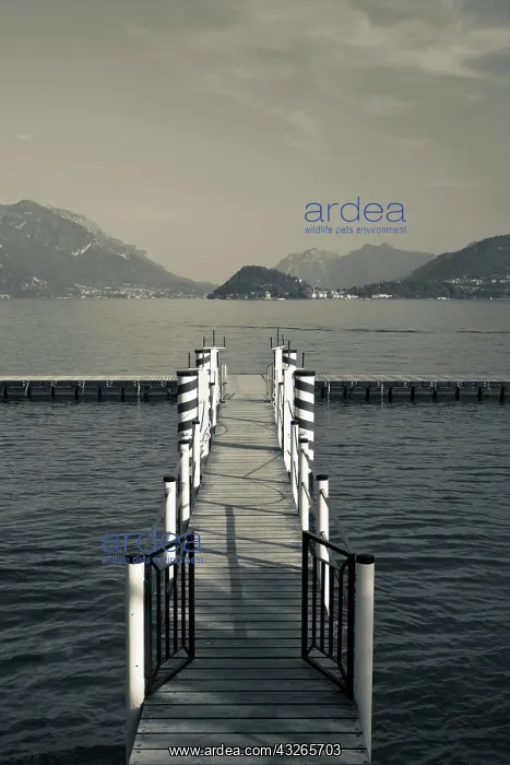 : Italy, Como Province, Tremezzo. Lake pier : Italy, Como Province, Tremezzo. Lake pier
