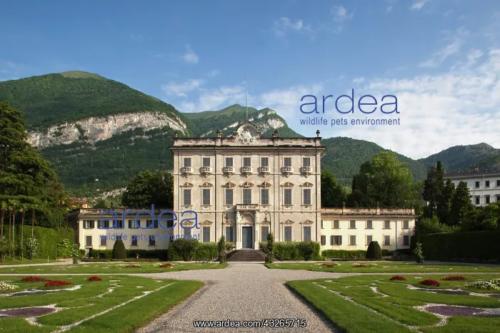 : Italy, Como Province, Tremezzo. Villa La : Italy, Como Province, Tremezzo. Villa La