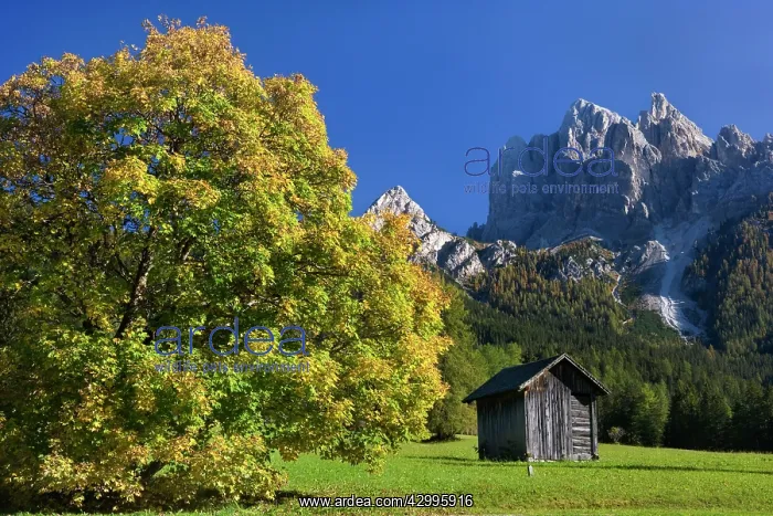: Italy - hut and mountain scenery - a little rustic : Italy - hut and mountain scenery - a little rustic
