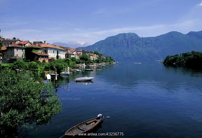 : Italy, Lake Como, Tremezzo. Scenic view : Italy, Lake Como, Tremezzo. Scenic view