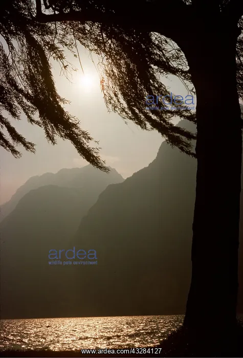 : ITALY - Lake Garda at sunset : ITALY - Lake Garda at sunset