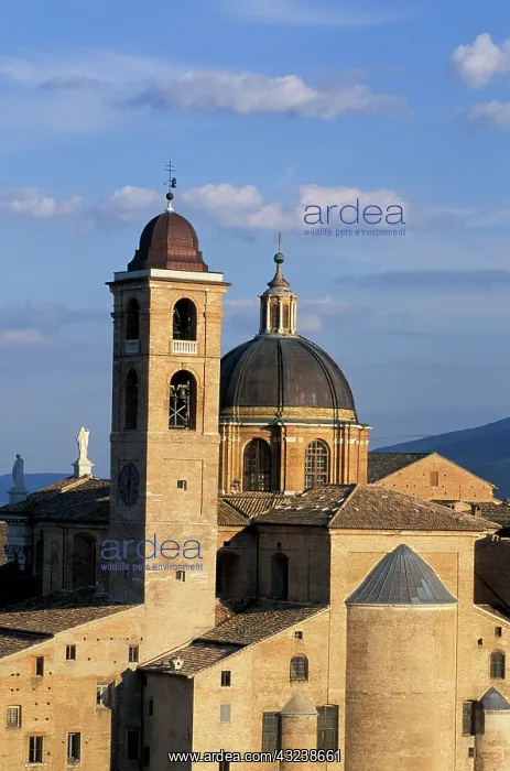 : Italy, Le Marche, Urbino. Buildings at Piazza : Italy, Le Marche, Urbino. Buildings at Piazza