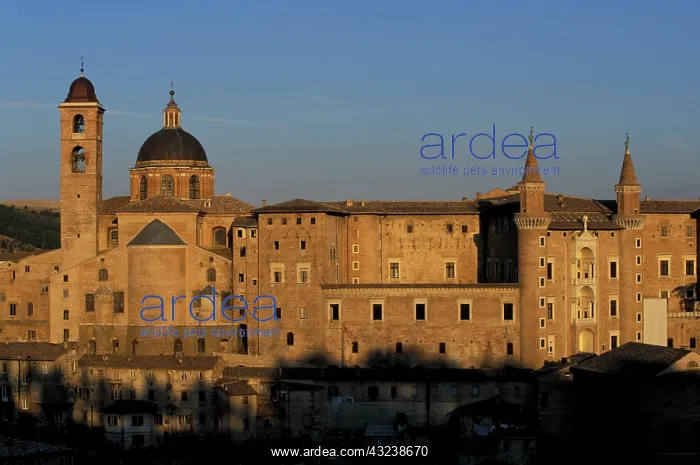 : Italy, Le Marche, Urbino. Buildings at Piazza : Italy, Le Marche, Urbino. Buildings at Piazza