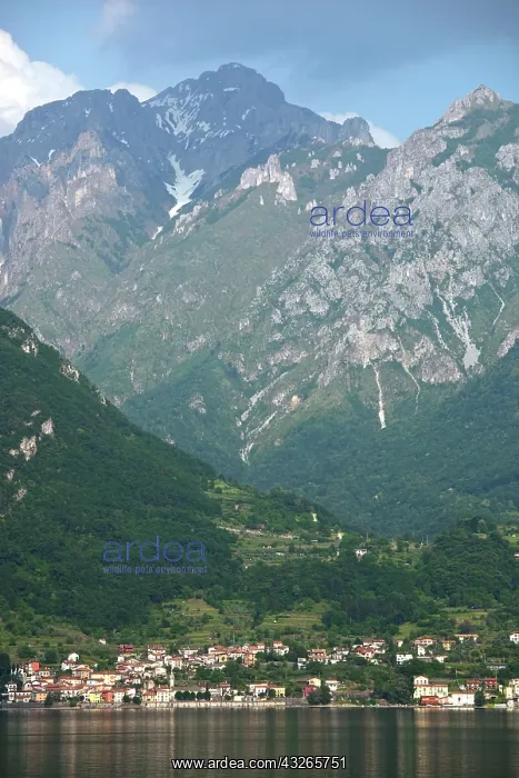 : Italy, Lecco Province, Lierna. Town and : Italy, Lecco Province, Lierna. Town and