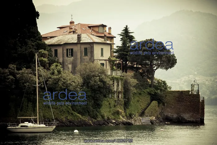 : Italy, Lecco Province, Varenna. Lakefront : Italy, Lecco Province, Varenna. Lakefront