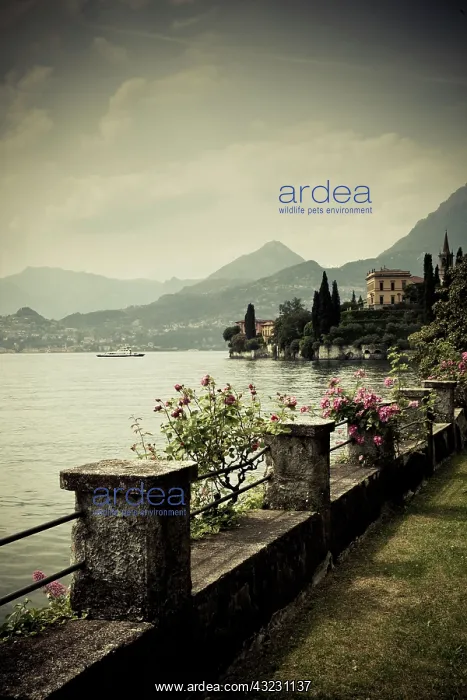 : Italy, Lecco Province, Varenna. Villa Monastero : Italy, Lecco Province, Varenna. Villa Monastero