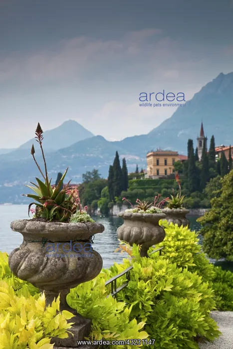 : Italy, Lecco Province, Varenna. Villa Monastero : Italy, Lecco Province, Varenna. Villa Monastero