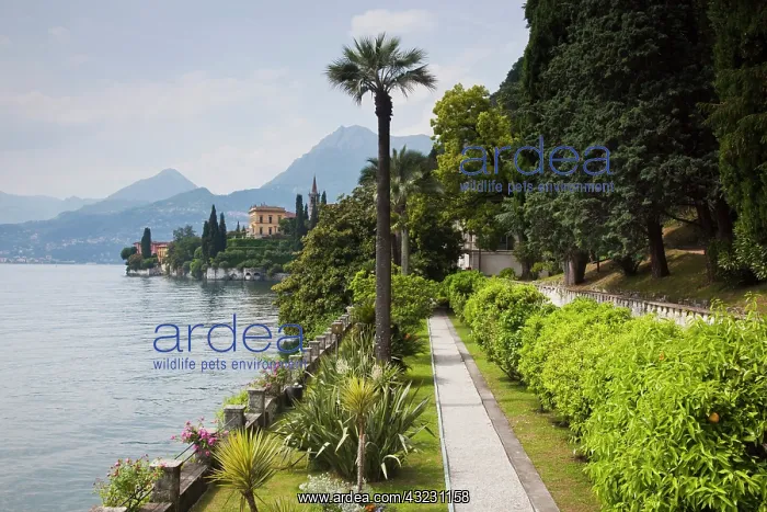 : Italy, Lecco Province, Varenna. Villa Monastero : Italy, Lecco Province, Varenna. Villa Monastero