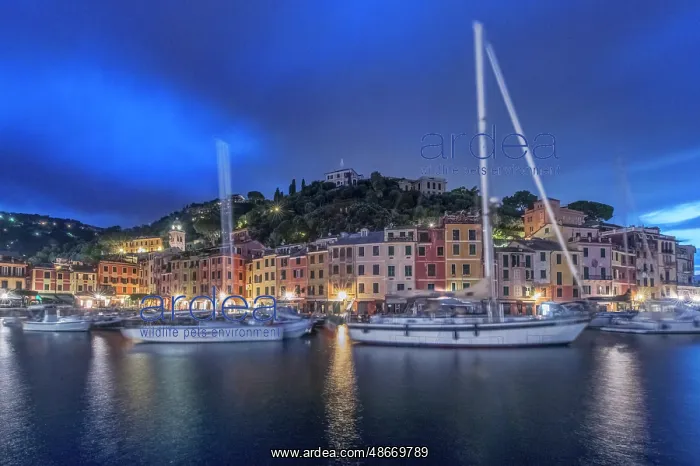 : Italy, Liguria. Portofino at dawn