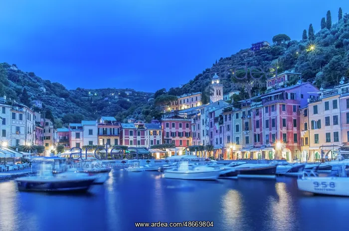 : Italy, Liguria. Portofino at dawn : Italy, Liguria. Portofino at dawn