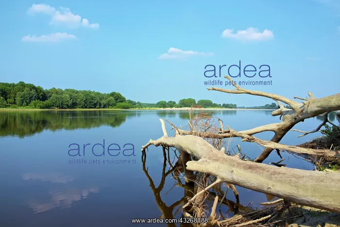 : Italy, Lombardy, Po river : Italy, Lombardy, Po river