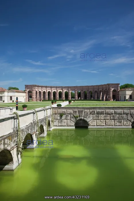 : Italy, Mantua Province, Mantua. Courtyard : Italy, Mantua Province, Mantua. Courtyard