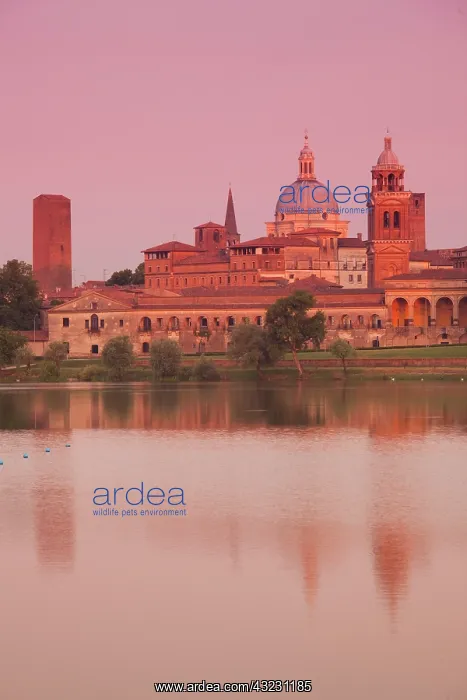  : Italy, Mantua Province, Mantua. Town view
