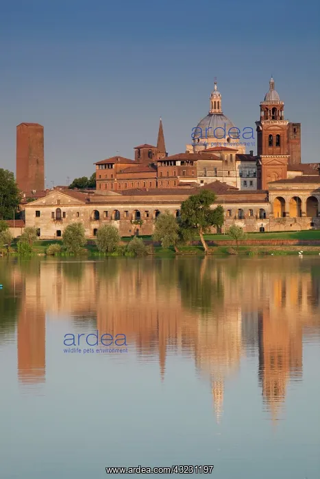 : Italy, Mantua Province, Mantua. Town view : Italy, Mantua Province, Mantua. Town view