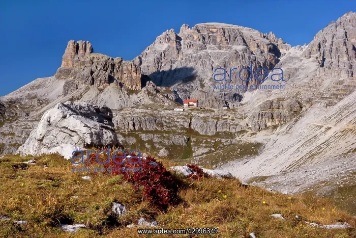 : Italy - mountain panorama - view towards several : Italy - mountain panorama - view towards several