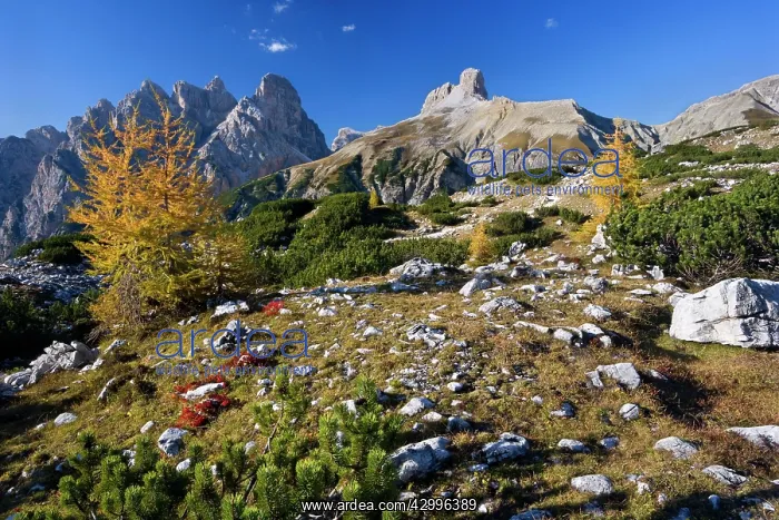 : Italy - mountain panorama - view towards several : Italy - mountain panorama - view towards several