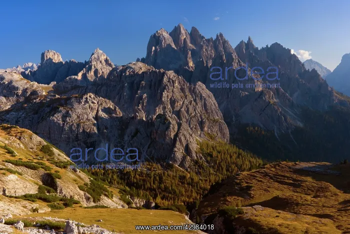 : Italy - mountain panorama - view of the many peaks : Italy - mountain panorama - view of the many peaks