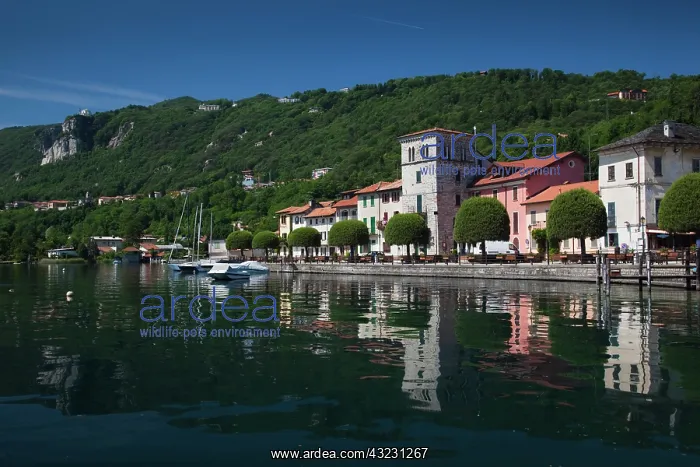 : Italy, Novara Province, Pella. Lakefront : Italy, Novara Province, Pella. Lakefront