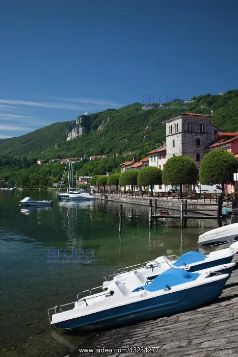 : Italy, Novara Province, Pella. Lakefront : Italy, Novara Province, Pella. Lakefront