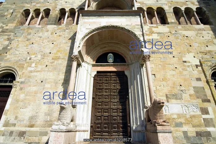 : Italy, Parma, The Cathedral : Italy, Parma, The Cathedral