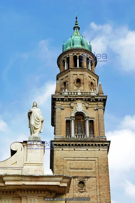 : Italy, Parma, Church of San Giovanni : Italy, Parma, Church of San Giovanni