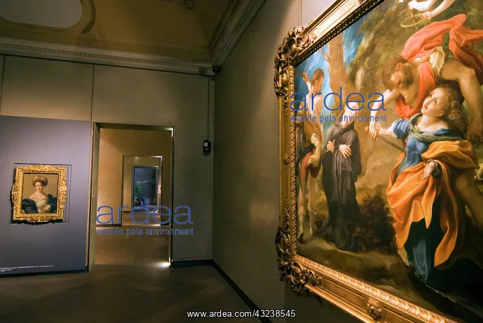 : Italy, Parma, National Gallery : Italy, Parma, National Gallery