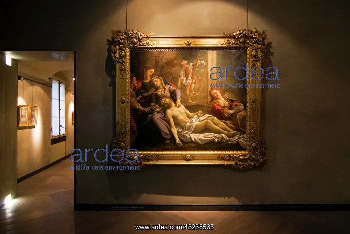 : Italy, Parma, National Gallery, Cristo Morto : Italy, Parma, National Gallery, Cristo Morto