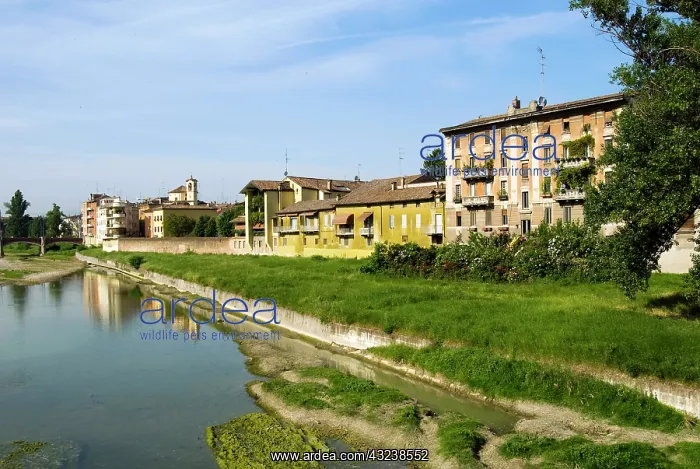 : Italy, Parma, Parma Creek : Italy, Parma, Parma Creek