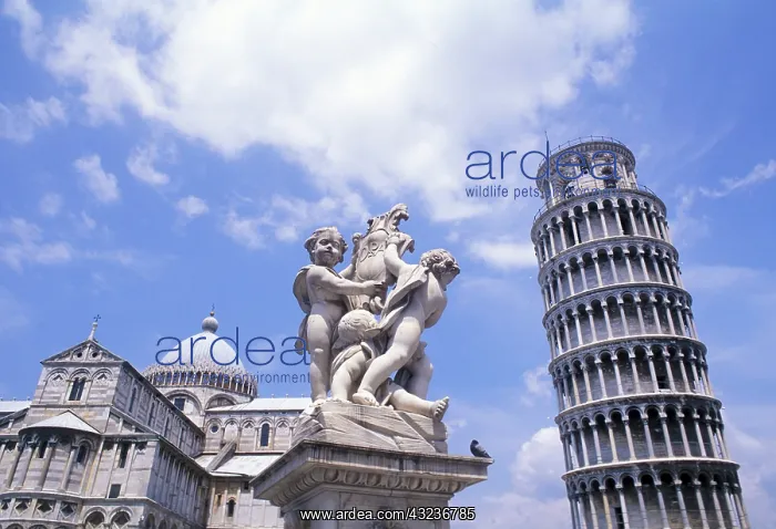 : Italy, Pisa. Famous leaning tower : Italy, Pisa. Famous leaning tower