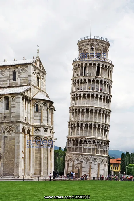 : Italy, Pisa. The Leaning Tower next to the : Italy, Pisa. The Leaning Tower next to the