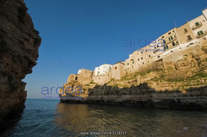 : Italy, Polignano a Mare, view of small rocky : Italy, Polignano a Mare, view of small rocky