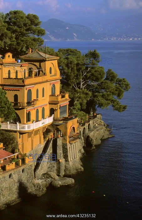 : Italy, Portofino. Scenic life on the Mediteranean : Italy, Portofino. Scenic life on the Mediteranean