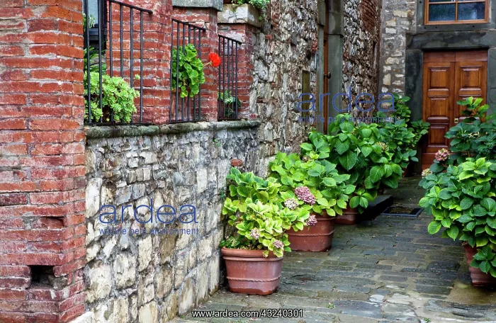 : Italy, Radda in Chianti. Entrance to homes along : Italy, Radda in Chianti. Entrance to homes along