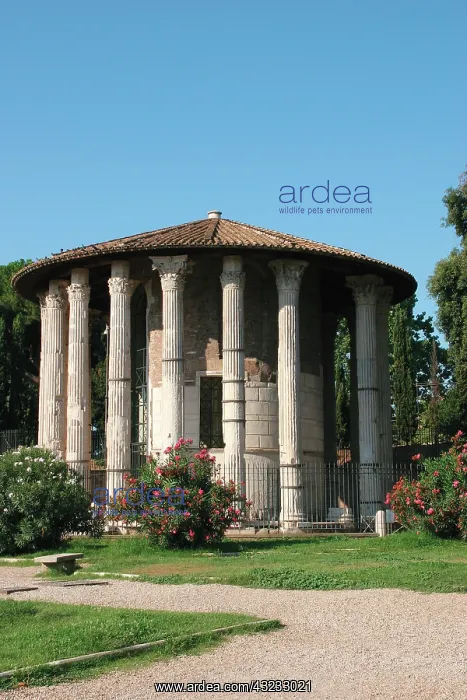 : Italy. Rome. The circular temple of Hercules : Italy. Rome. The circular temple of Hercules