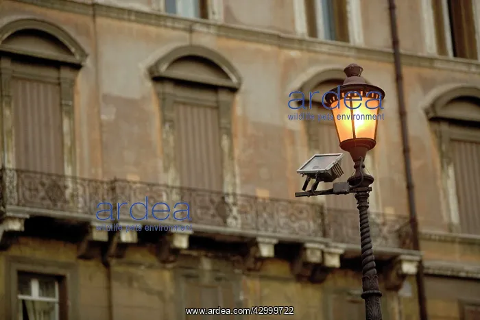  : Italy Rome, Italy