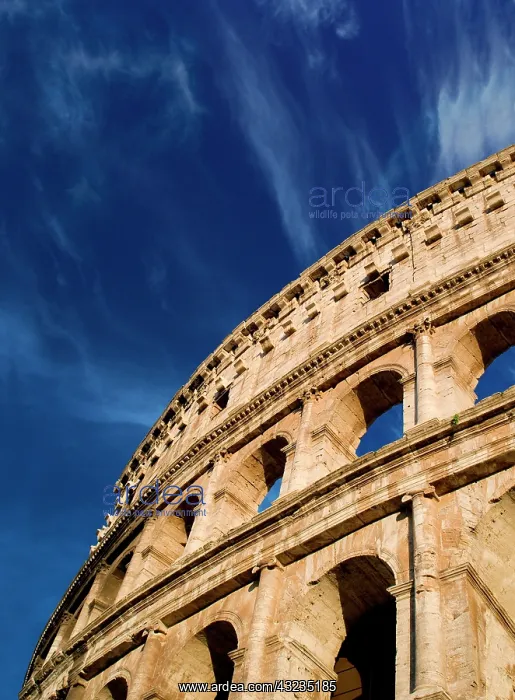 : Italy, Rome, Roman Coliseum : Italy, Rome, Roman Coliseum